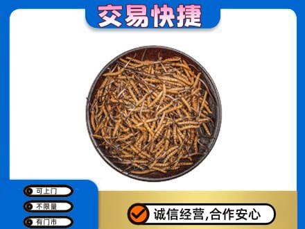 淮南高价回收散虫草